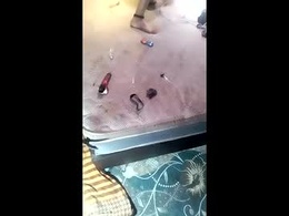 Screen Grab from isaldatrans