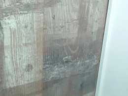 Screen Grab from ivysnowrw