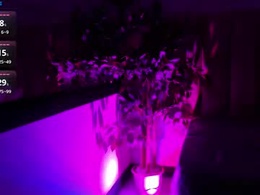 Screen Grab from jadeblazeh