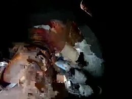 Screen Grab from javi2trill