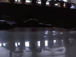 Screen Grab from jensxl100441