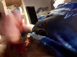 Screen Grab from jeremy331583