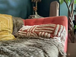 Screen Grab from jimimacuk