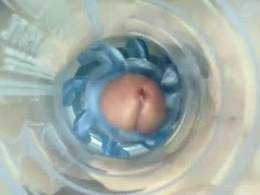 Screen Grab from jkrubs665