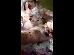 Screen Grab from joe28943