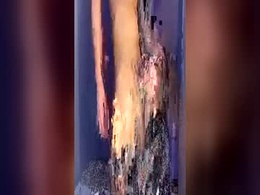 Screen Grab from juremas293