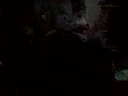 Screen Grab from justinfromthadro