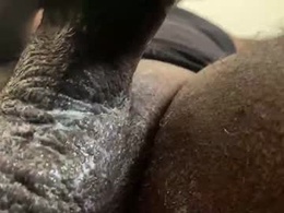 Screen Grab from karadi5