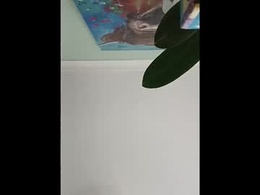 Screen Grab from karnathra