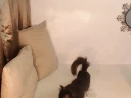 Screen Grab from katrinathegreat