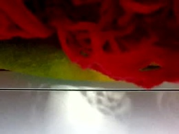 Screen Grab from kellypvcslut1