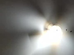Screen Grab from kipp62282