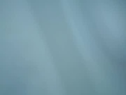 Screen Grab from kitty_nara