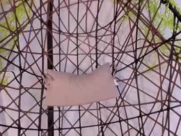 Screen Grab from kloe_skinny