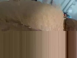 Screen Grab from krazyeighth