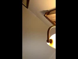 Screen Grab from kushixxx69