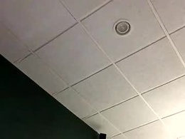 Screen Grab from kylegotittt