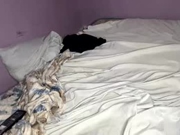 Screen Grab from labonitabrazil