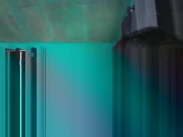 Screen Grab from laravien19