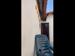 Screen Grab from leo_latino1