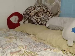 Screen Grab from lexi818