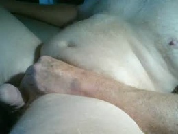 Screen Grab from linker11