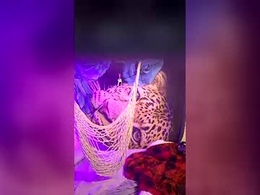 Screen Grab from longdongsilver_3232