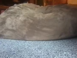 Screen Grab from lozivelle