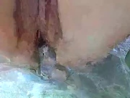 Screen Grab from ltlwizttrjqs