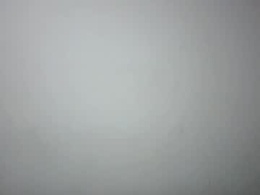 Screen Grab from luizpag4