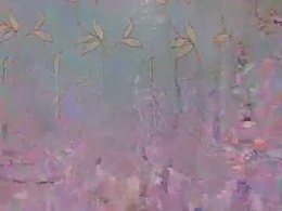 Screen Grab from maella007