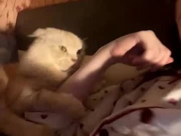 Screen Grab from margopesavento