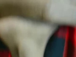 Screen Grab from marigold_gift