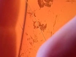 Screen Grab from martinhopetaylor