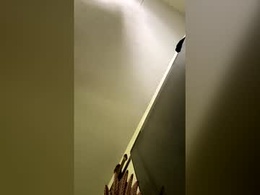 Screen Grab from mastergibbs