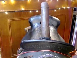 Screen Grab from mavrixpage