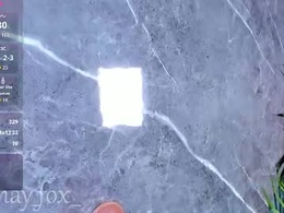 Screen Grab from mayfox06