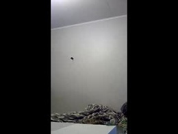 Screen Grab from mccormackf84