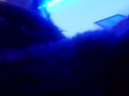 Screen Grab from megan_200