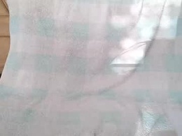 Screen Grab from melacti2