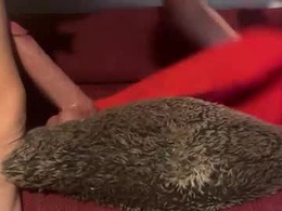 Screen Grab from mezkalll