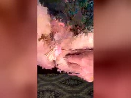 Screen Grab from mike700723