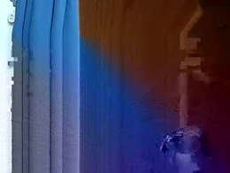 Screen Grab from moos1