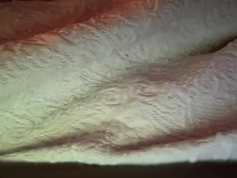 Screen Grab from mr_owl