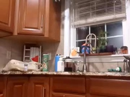 Screen Grab from nahbruh34