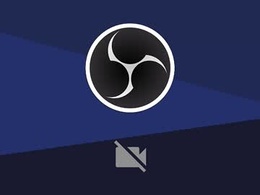 Screen Grab from naomisaenz01