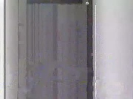 Screen Grab from nick1213n