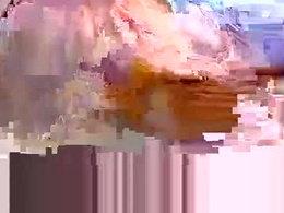 Screen Grab from nikki32313