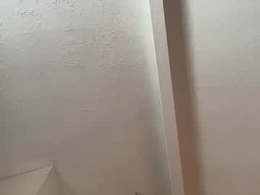 Screen Grab from nopubesonme1