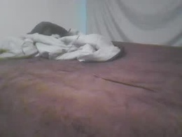 Screen Grab from norty450